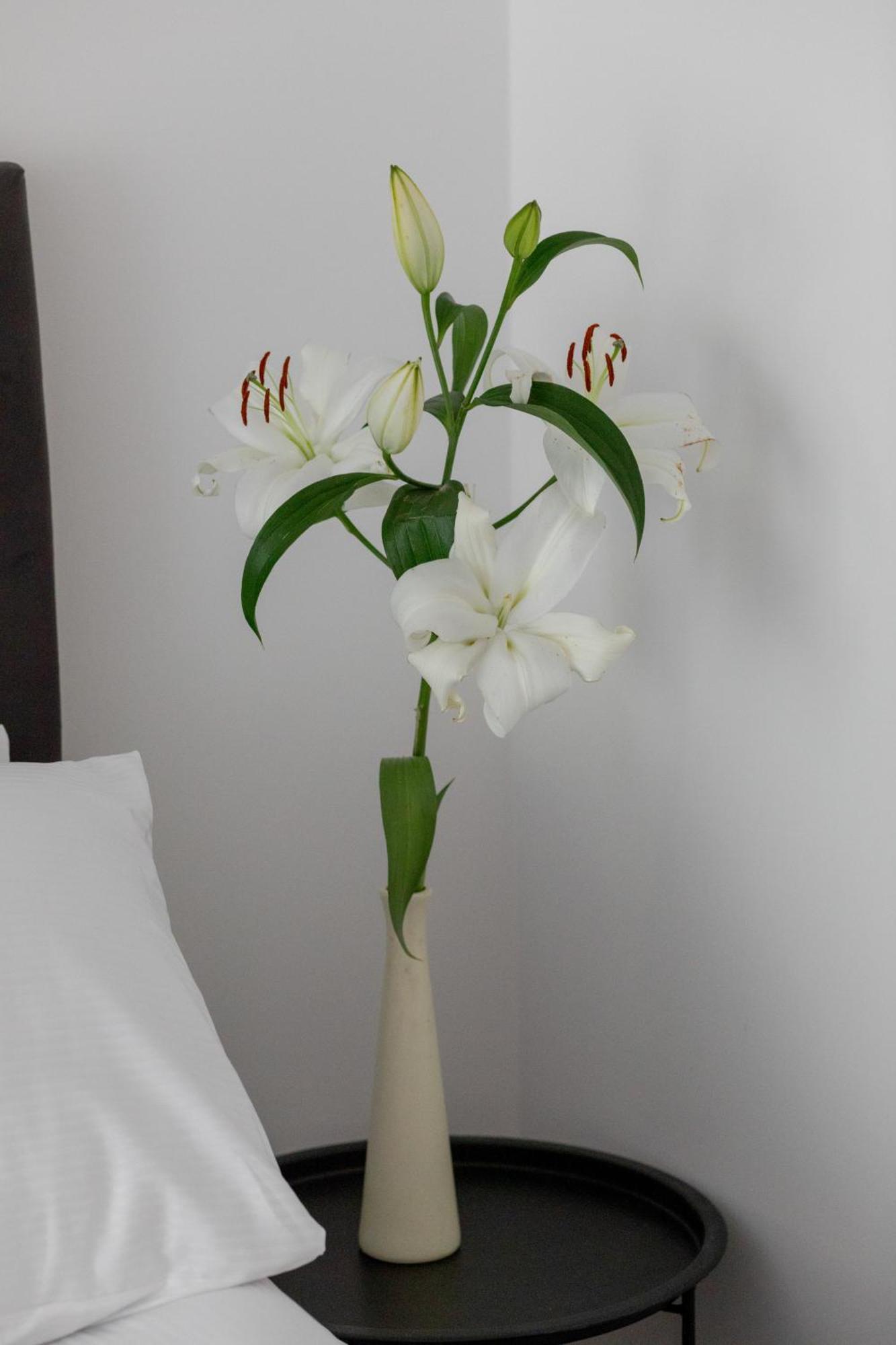 Sea&lake Luxurious With Parking By Renters Apartment